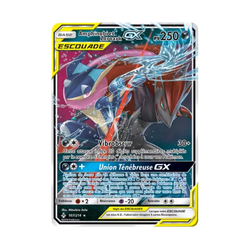 Amphinobi et Zoroark GX (UNB 107)