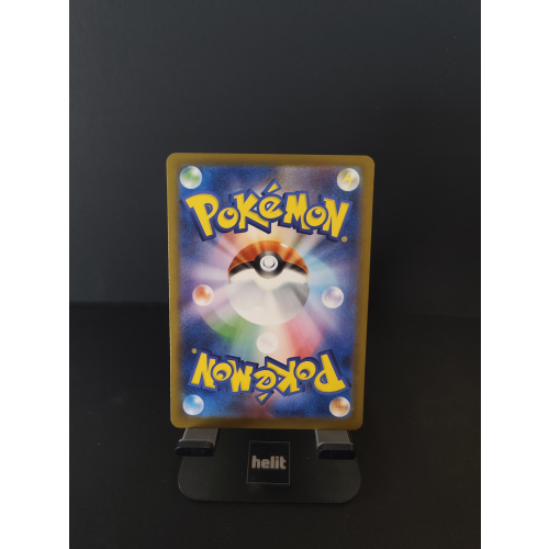 Saquedeneu de Erika (mC 743)